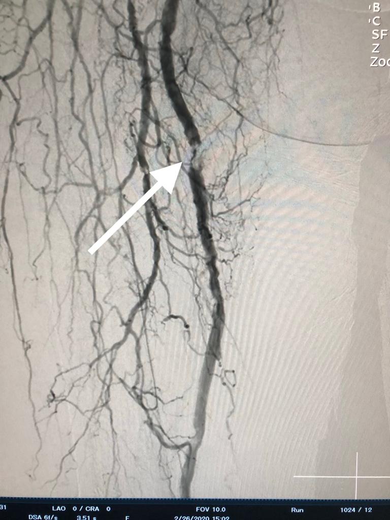 DR.Richard Muldoone item