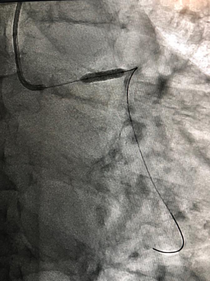 DR.Richard Muldoone item